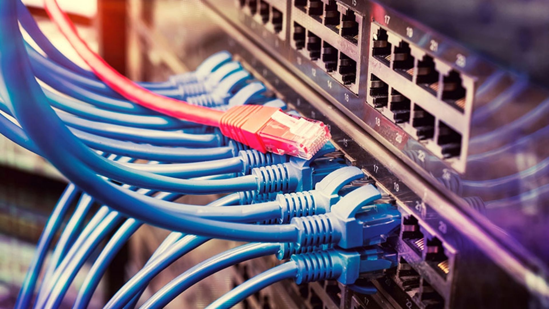 The Crucial Role of Network Switches