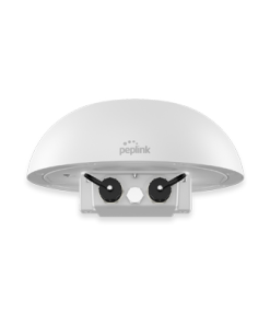 Peplink Dome Pro Duo